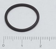 O-Ring 1700-150 mm